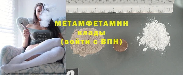 шишки Абаза