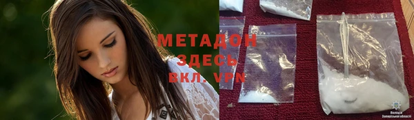 индика Алзамай