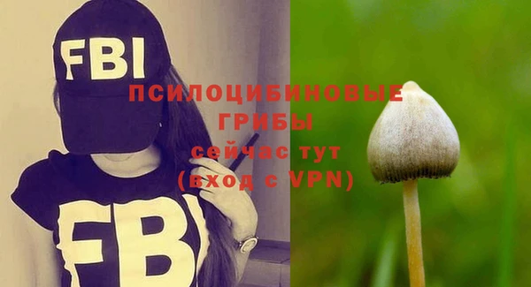 амф Абдулино