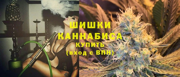 шишки Абаза
