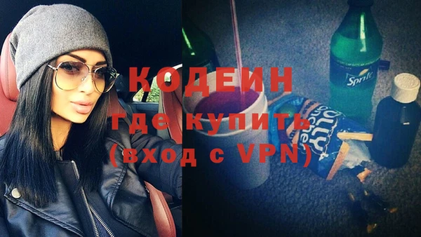 шишки Абаза