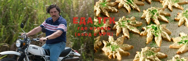 шишки Абаза