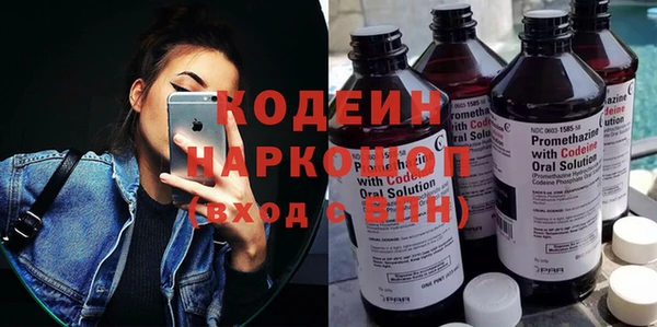 шишки Абаза