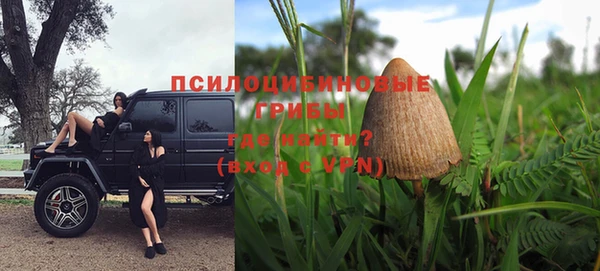 индика Алзамай