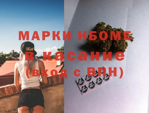 шишки Абаза