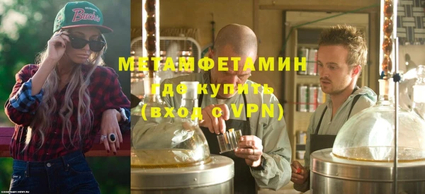 шишки Абаза