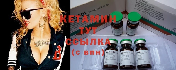 шишки Абаза