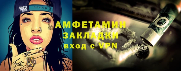 индика Алзамай