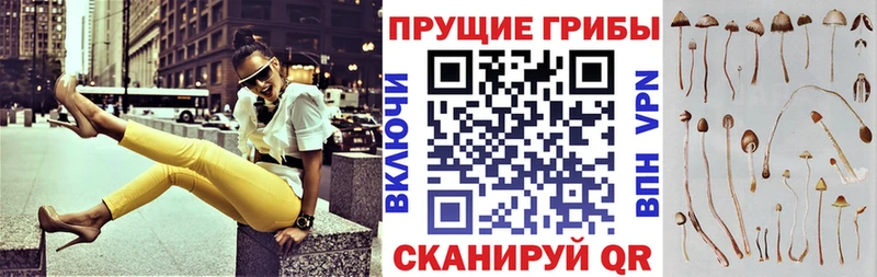 Псилоцибиновые грибы MAGIC MUSHROOMS Костерёво